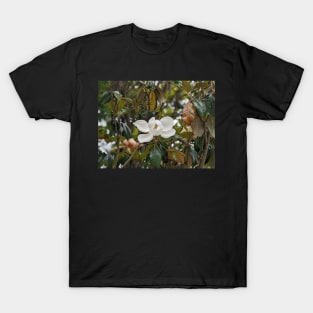 Magnolia Bloom 3 T-Shirt